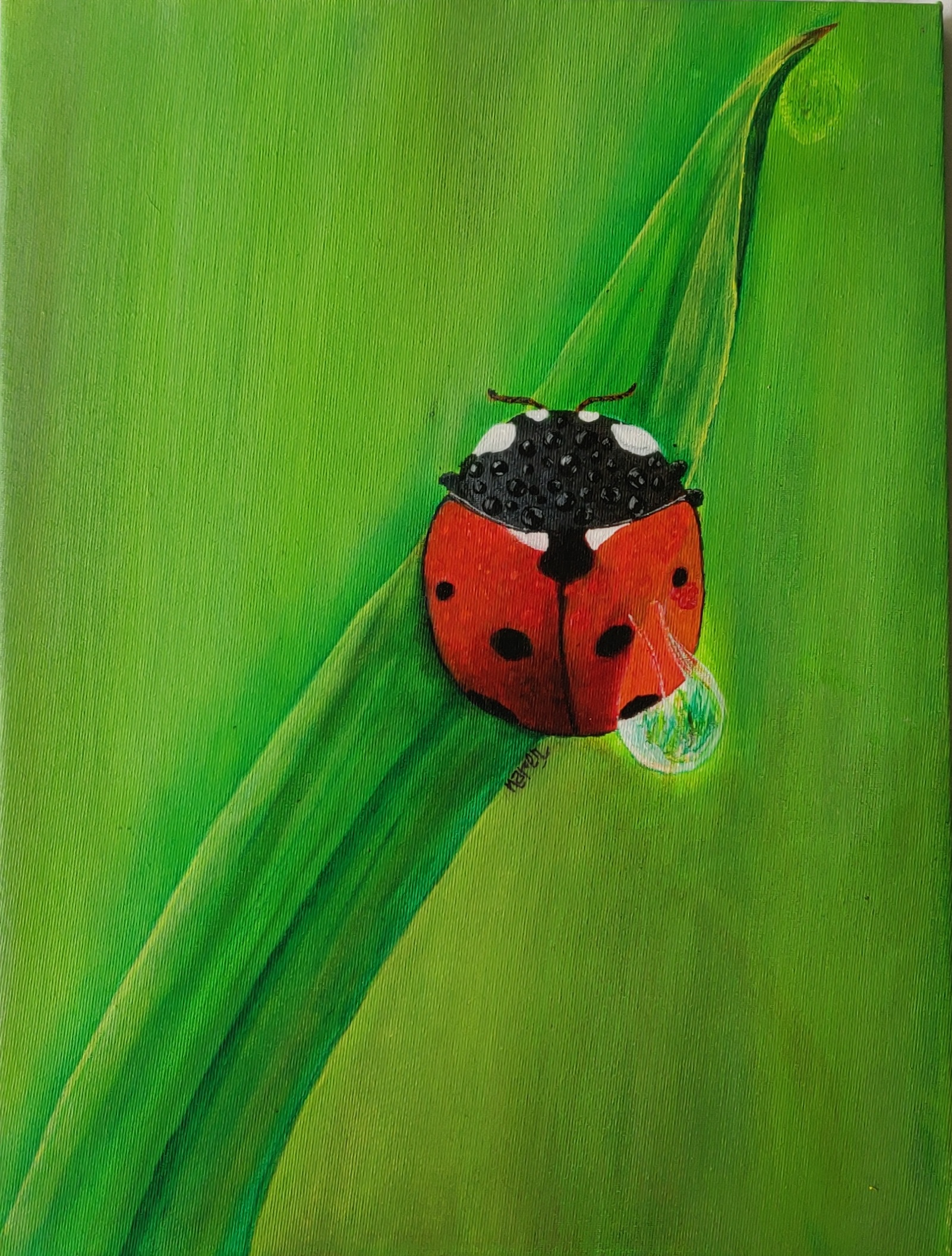 7 - Dot Ladybird